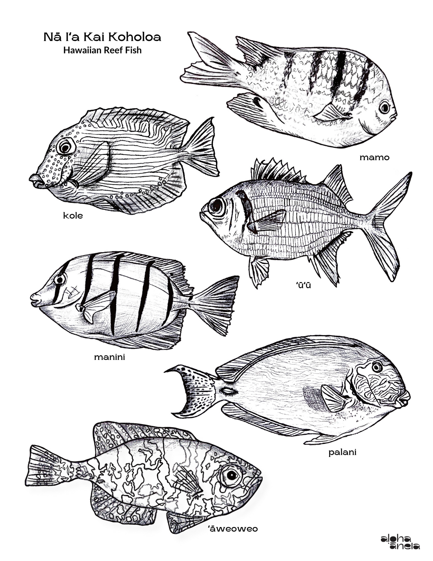 Hawaiian Reef Fish Coloring Page