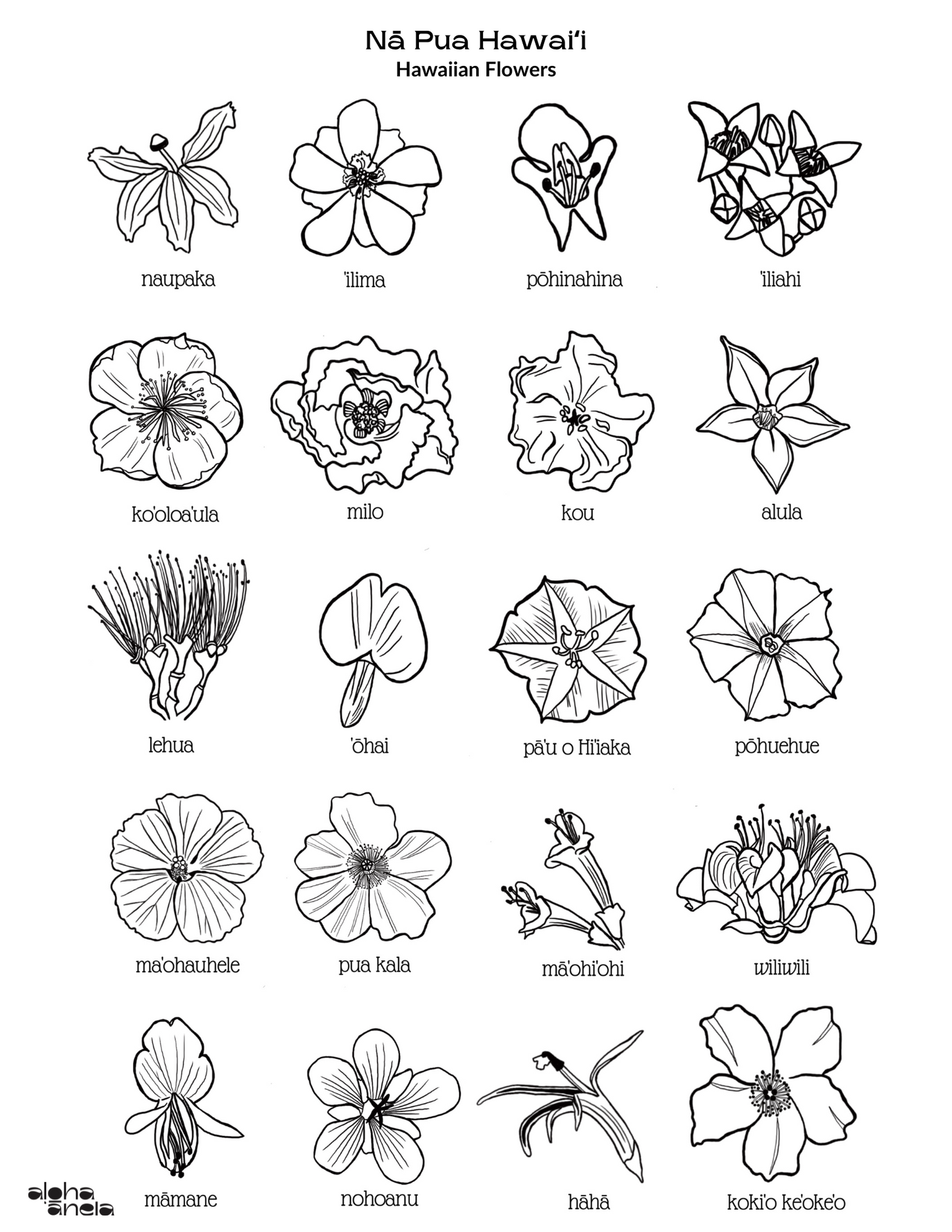 Hawaiian Flowers Coloring Page