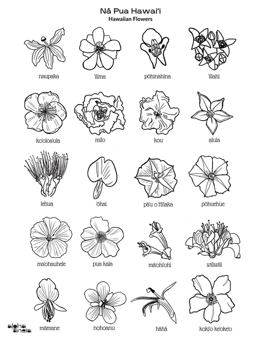 Hawaiian Flowers Coloring Page